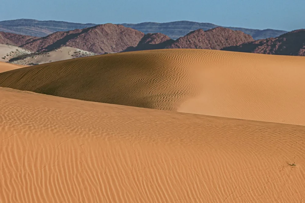 El Bayadh