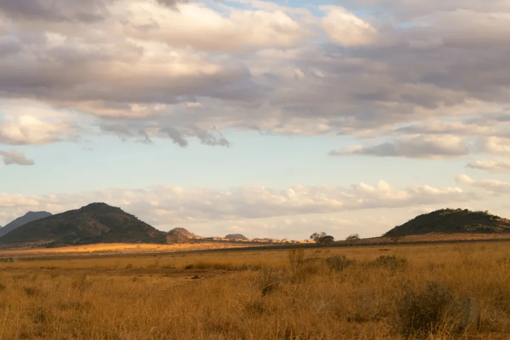 Angama Mara