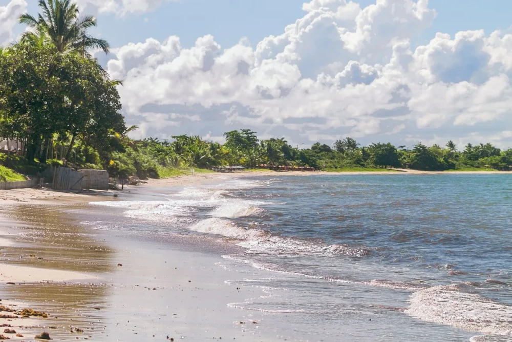 Macae