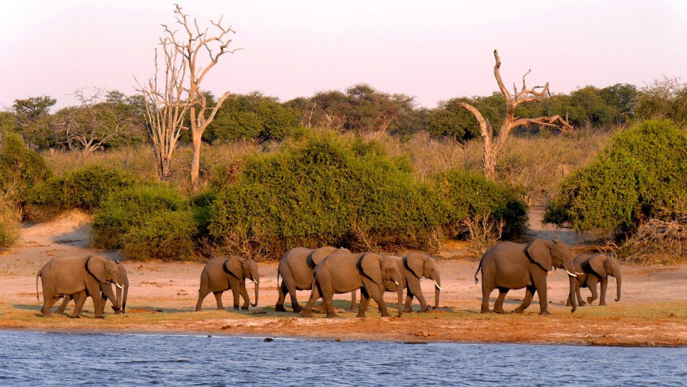Eswatini